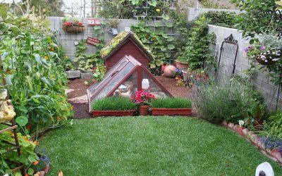 5 Things You Need to Consider Before DIY Landscaping