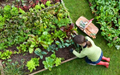 How To Make Your Own Organic Garden