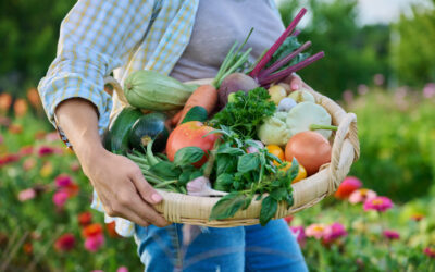 5 Veggies To Add To Your Organic Garden