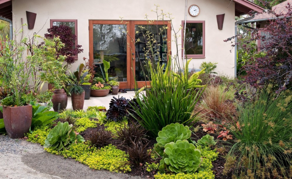 landscaping-styles-DIY-family-plants